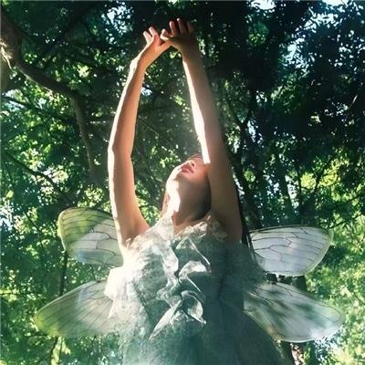 五星红旗迎风飘扬2