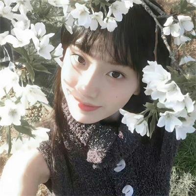 新无仁义之战 组长最后之日